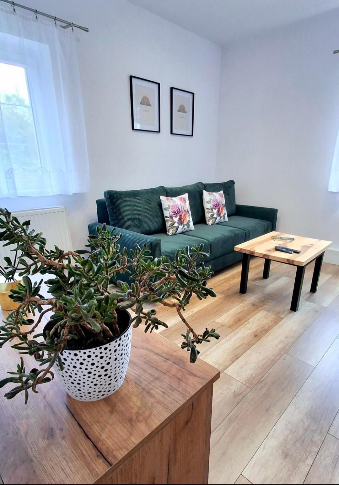 Apartament Dzika Roza Ковари Екстериор снимка